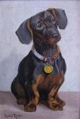 rupp rudolf Portrait Eines Dackels rupp rudolf Portrait Eines Dackels