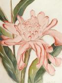 RUSSELL Shirley Torch Ginger RUSSELL Shirley Torch Ginger