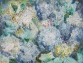 RUSSELL Shirley Marie Hawaiian Large Leaf Hydrangea RUSSELL Shirley Marie Hawaiian Large Leaf Hydrangea