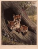 S CARTER SAMUEL Little Foxes S CARTER SAMUEL Little Foxes