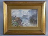SALMON John Cuthbert Misty Waterfall In Heavy Flood SALMON John Cuthbert Misty Waterfall In Heavy Flood