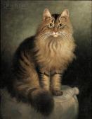 sanborn percy a. Portrait Of A Maine Coon Cat sanborn percy a. Portrait Of A Maine Coon Cat
