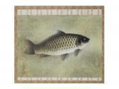 Satou Taisei A Carp Satou Taisei A Carp