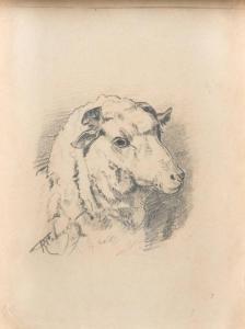 Konstantin Apollonov Savitsky - Schaf 