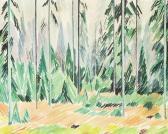 SCHARFF William Pine Forest SCHARFF William Pine Forest