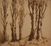 SCHOLEFIELD SHIRLEY Old Poplars SCHOLEFIELD SHIRLEY Old Poplars