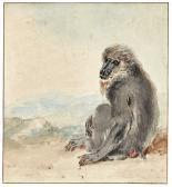 SCHOUMAN Aert A Female Mandrill (mandrillus Sphinx) SCHOUMAN Aert A Female Mandrill (mandrillus Sphinx)