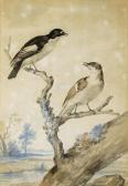 SCHOUMAN Aert A Pair Of Pied Flycatchers SCHOUMAN Aert A Pair Of Pied Flycatchers