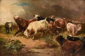 SCHOUTEN Henry Les Boeufs Fuyant L'orage SCHOUTEN Henry Les Boeufs Fuyant L'orage