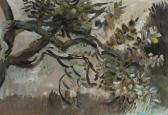 SCHRAG Karl Branch Of An Apple Tree SCHRAG Karl Branch Of An Apple Tree