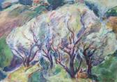 SCHWARTZ Chaya Trees In Safed SCHWARTZ Chaya Trees In Safed