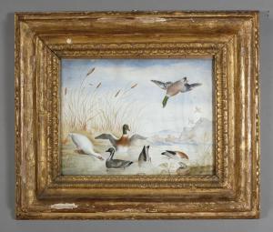 Sinibaldo Scorza - Anatre Nello Stagno