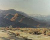SCOTT Clyde Mountain Shadows SCOTT Clyde Mountain Shadows
