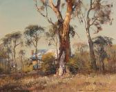 SEALY DOUG Summer Gums SEALY DOUG Summer Gums