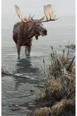 SEEREY LESTER John Silent Waters Moose SEEREY LESTER John Silent Waters Moose