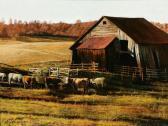 SEHRING Adolf Cattle Feed By The Barn SEHRING Adolf Cattle Feed By The Barn