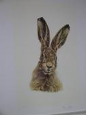 SEWARD A Hare SEWARD A Hare