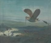 SEWELL Edward S. Flight Bird SEWELL Edward S. Flight Bird