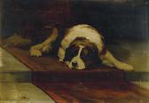 SHAW Hugh George St. Bernard Lying On A Runner SHAW Hugh George St. Bernard Lying On A Runner