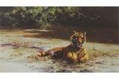 SHEPHERD David Indian Siesta SHEPHERD David Indian Siesta