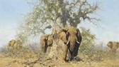 SHEPHERD David The Baobab Tree SHEPHERD David The Baobab Tree
