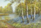 SHERRIN Reginald Daniel Bluebell Woods SHERRIN Reginald Daniel Bluebell Woods