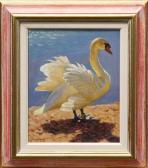 SHINGLETON Anne Male Swan SHINGLETON Anne Male Swan