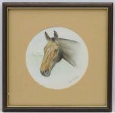 Shirley Jane Horse Shirley Jane Horse