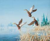 SHORTT Angus Henry Three Black Ducks SHORTT Angus Henry Three Black Ducks