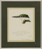 SHORTT Terence Micheal Green Kingfisher SHORTT Terence Micheal Green Kingfisher