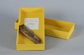 SIGNER Roman Explosion SIGNER Roman Explosion