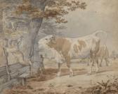 SIMMLER Friedrich Karl Der Wütende Stier SIMMLER Friedrich Karl Der Wütende Stier