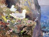 SIMPSON Charles Walter Gulls On Sea Cliffs SIMPSON Charles Walter Gulls On Sea Cliffs