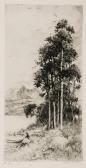 SIMPSON Jackson Henry Landscapes SIMPSON Jackson Henry Landscapes