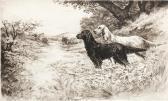 SIMPSON Jackson Henry Setters SIMPSON Jackson Henry Setters