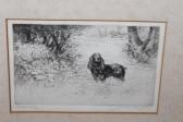SIMPSON Jackson Henry Spaniel SIMPSON Jackson Henry Spaniel