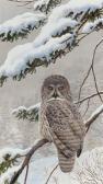 SINGER Arthur Great Gray Owl SINGER Arthur Great Gray Owl