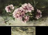 SIVERS von Clara Blumenstilleben SIVERS von Clara Blumenstilleben