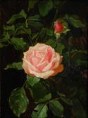 SIVERS von Clara Rose SIVERS von Clara Rose