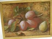 SLATER O.H Still Life Of Plums SLATER O.H Still Life Of Plums