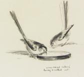 SOPER Eileen Alice Badger Feeding From The Hand Of The Artist SOPER Eileen Alice Badger Feeding From The Hand Of The Artist