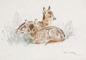 SOPER Eileen Alice Fawns Resting In The Scrub SOPER Eileen Alice Fawns Resting In The Scrub