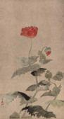 Sosetsu Tawaraya Poppies Sosetsu Tawaraya Poppies