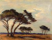 SPILHAUS Nita Windswept Trees SPILHAUS Nita Windswept Trees