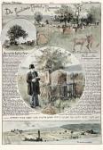 SPINDLER Charles Der Israelitische Friedhof Zu Rosenweiler Planche N° 22 Des Images Alsaciennes SPINDLER Charles Der Israelitische Friedhof Zu Rosenweiler Planche N° 22 Des Images Alsaciennes