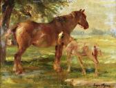 SPIRO Eugen Cavalo E Potro SPIRO Eugen Cavalo E Potro