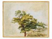 SPITZWEG Carl Study After A Pine Tree SPITZWEG Carl Study After A Pine Tree