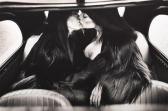 SPRINGS Alice Les Deux Amies Dans La Voiture SPRINGS Alice Les Deux Amies Dans La Voiture