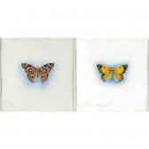 STANNARD Lilian The Clouded Yellow; The Painted Lady STANNARD Lilian The Clouded Yellow; The Painted Lady