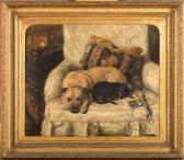 STEELL David George Les Deux Chiens Vic Et Janny Au Repos Dans Un Fauteuil STEELL David George Les Deux Chiens Vic Et Janny Au Repos Dans Un Fauteuil